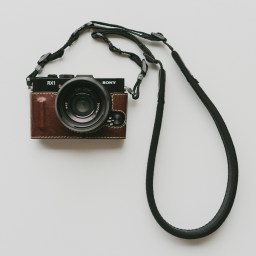 The First Resource For Your Move To Mirrorless