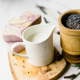 Butterflies To Goats: Diving Into Mirrorless Photography