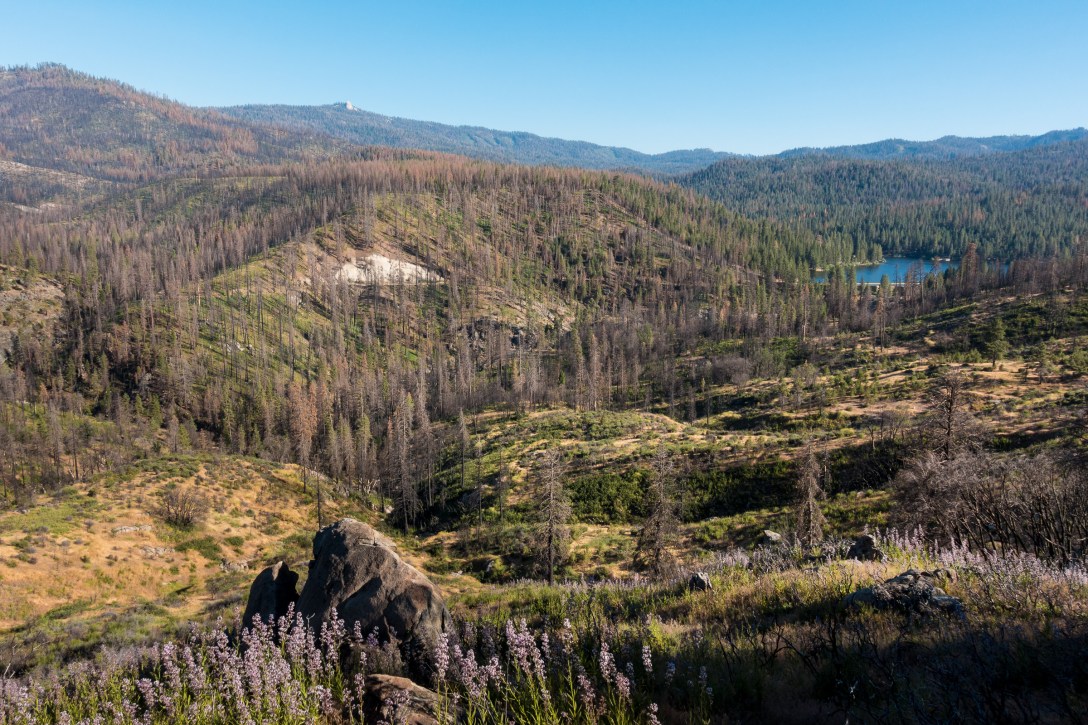 MTM-mariano-friginal-rx100iv-01