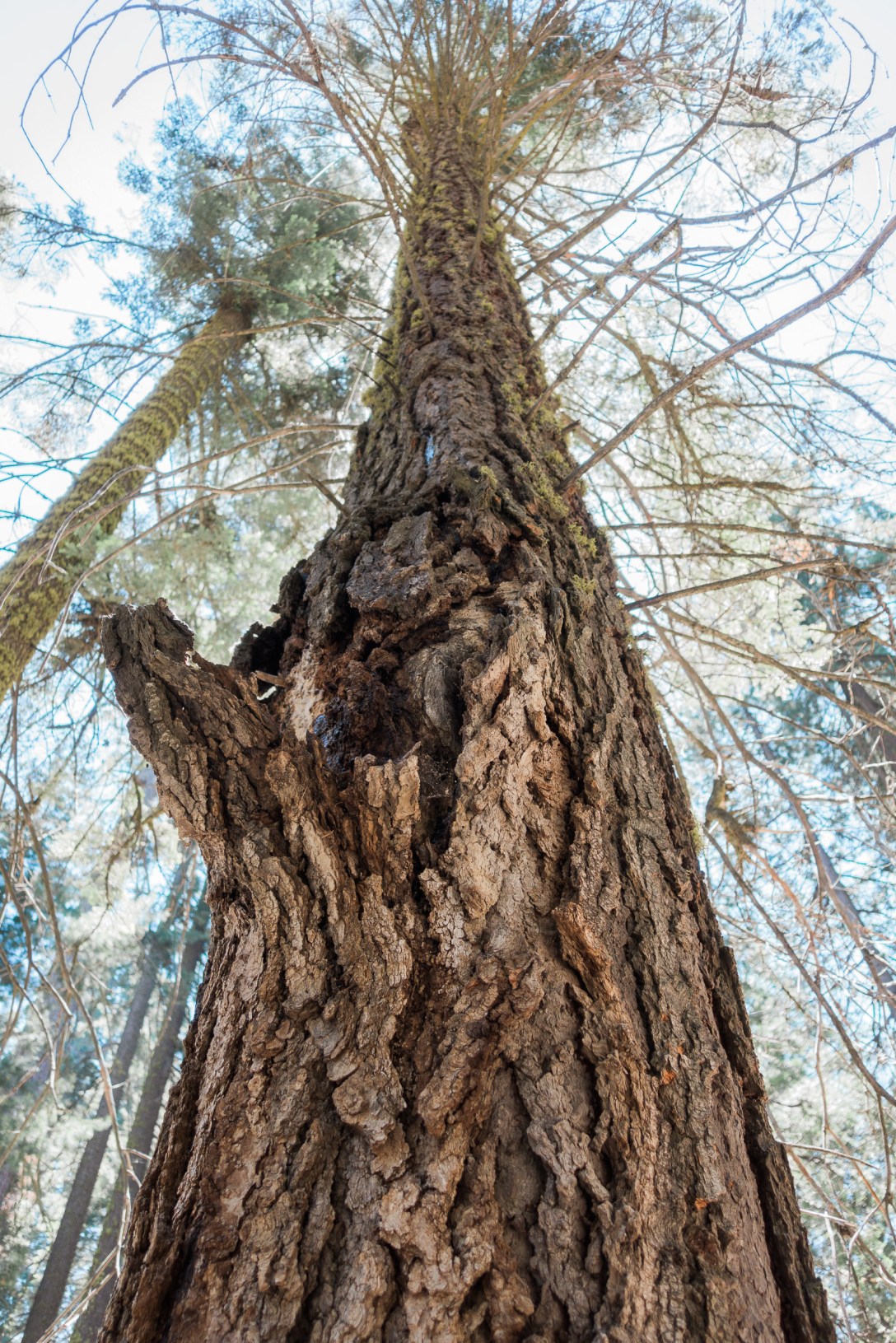 MTM-mariano-friginal-rx100iv-03