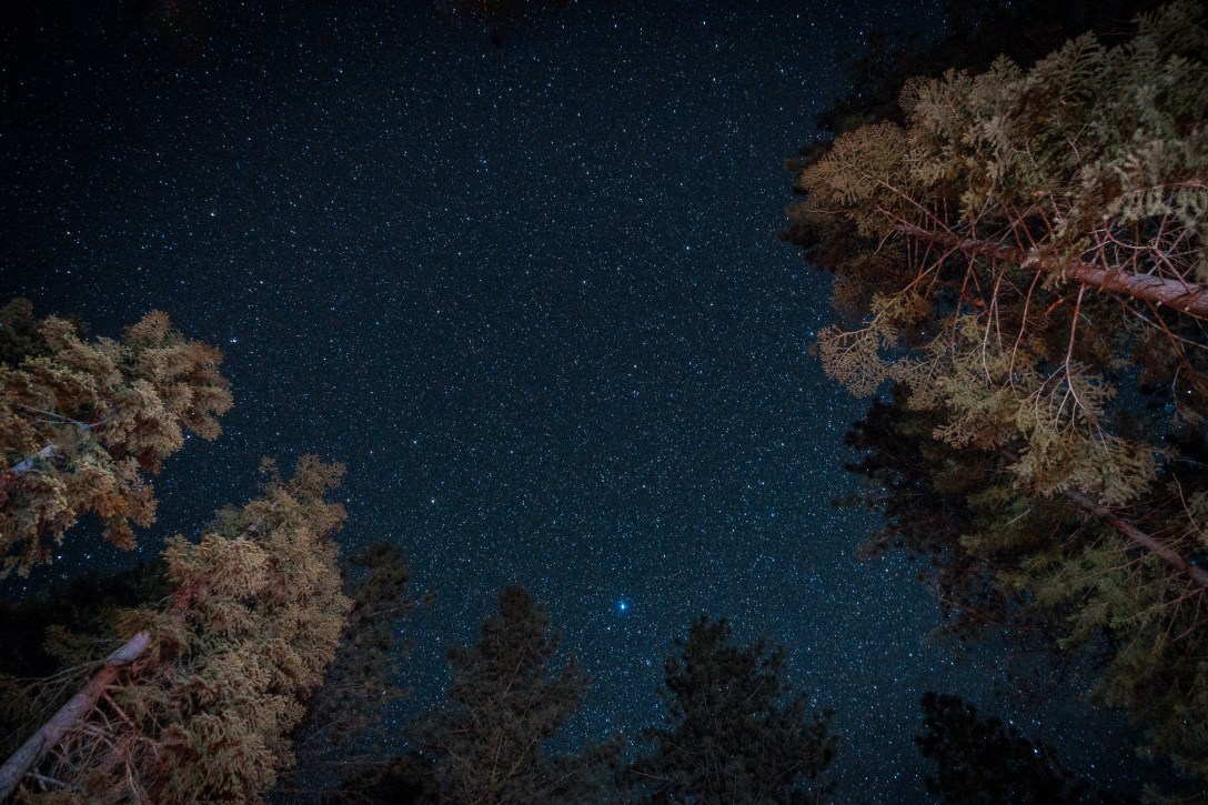 MTM-mariano-friginal-rx100iv-09