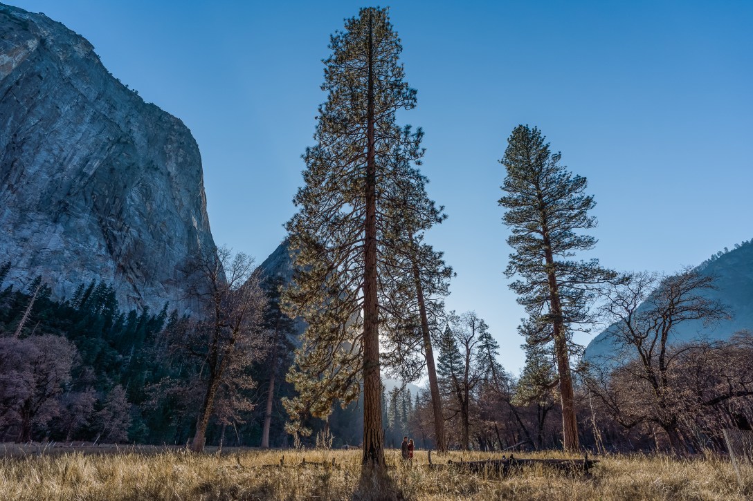 sony_a7rIII_yosemite-09